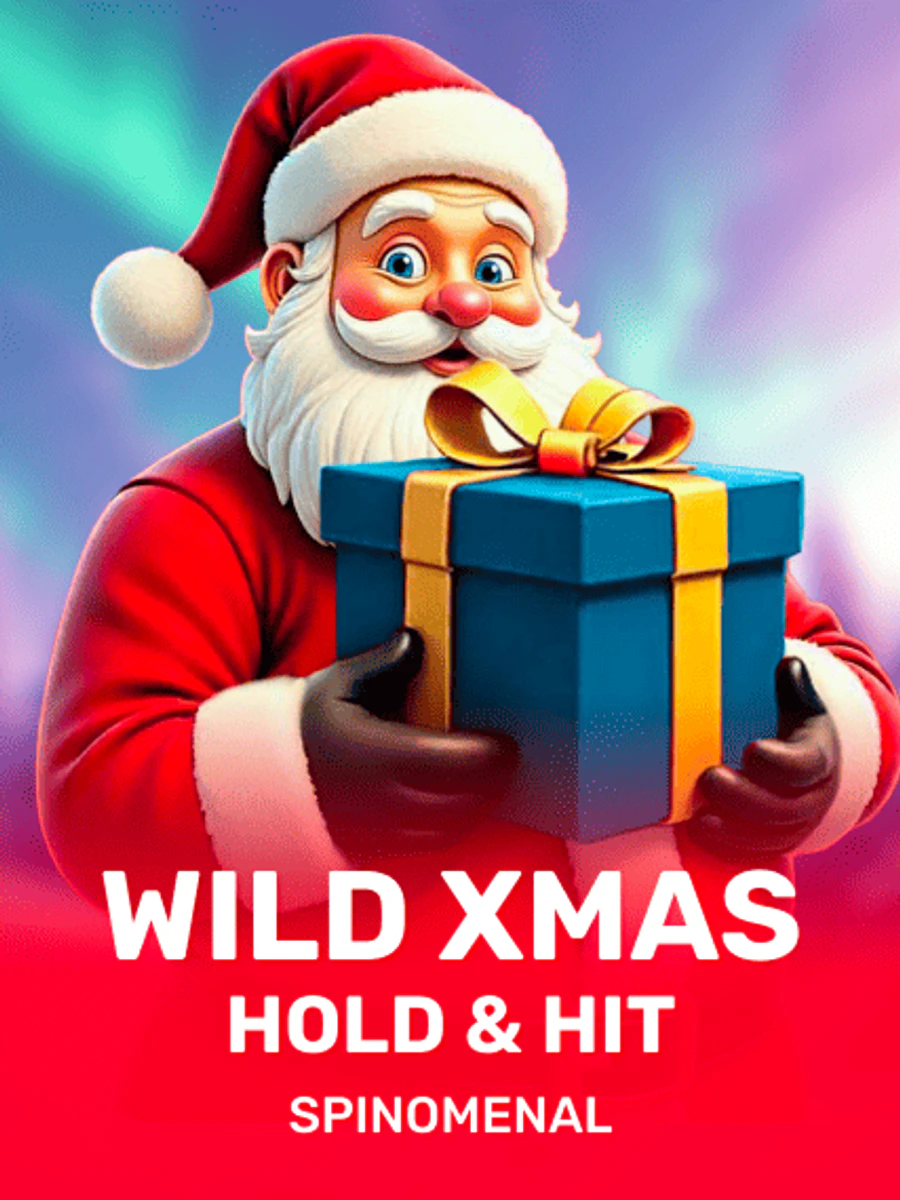 Wild Xmas Hold & Hit slot artwork