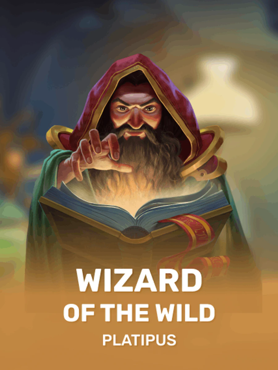 Wizard Of The Wild slot artwork
